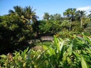 cérémonie laïque mariage tropical