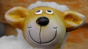 cérémonie laique bonheur