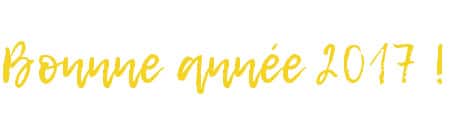 résolutions 2017