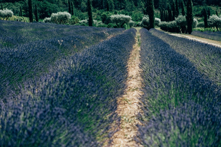 mariage aux Andéols 
